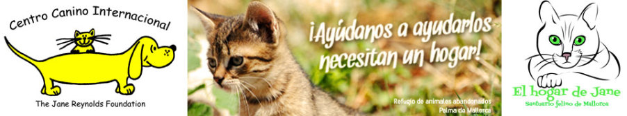 santuaro felino de Mallorca